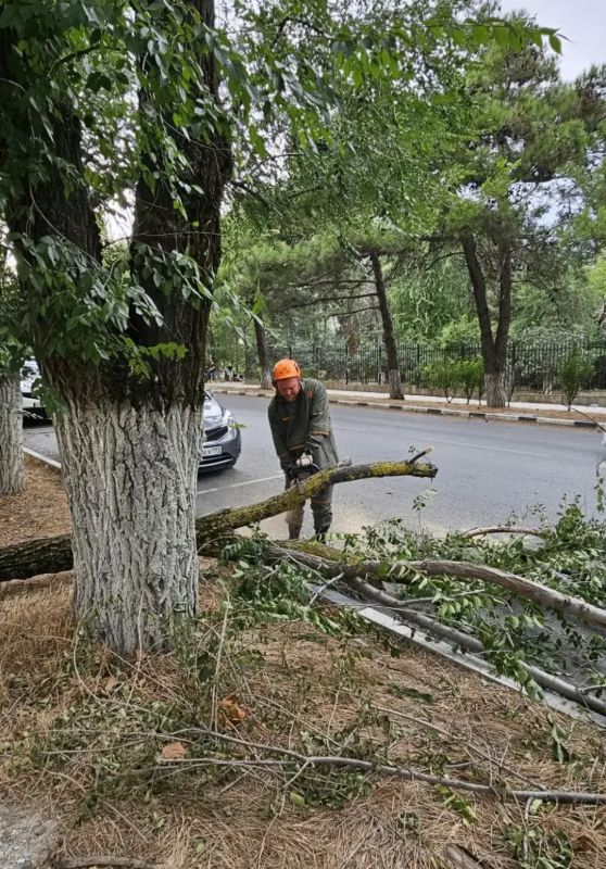 Во власти норд-оста: коммунальные службы и спасатели Новороссийска оперативно устраняют последствия сильного ветра, а жителей и гостей города просят соблюдать меры безопасности Во власти норд-оста: коммунальные службы и спасатели Новороссийска оперативно устраняют последствия сильного ветра, а жителей и гостей города просят соблюдать меры безопасности