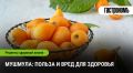 Мушмула: удивительный фрукт, который стоит попробовать