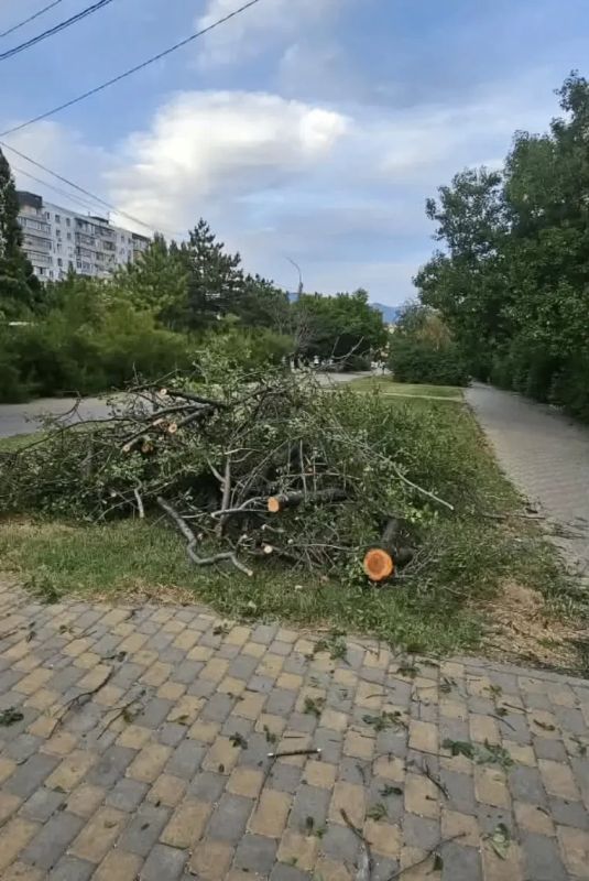Во власти норд-оста: коммунальные службы и спасатели Новороссийска оперативно устраняют последствия сильного ветра, а жителей и гостей города просят соблюдать меры безопасности Во власти норд-оста: коммунальные службы и спасатели Новороссийска оперативно устраняют последствия сильного ветра, а жителей и гостей города просят соблюдать меры безопасности