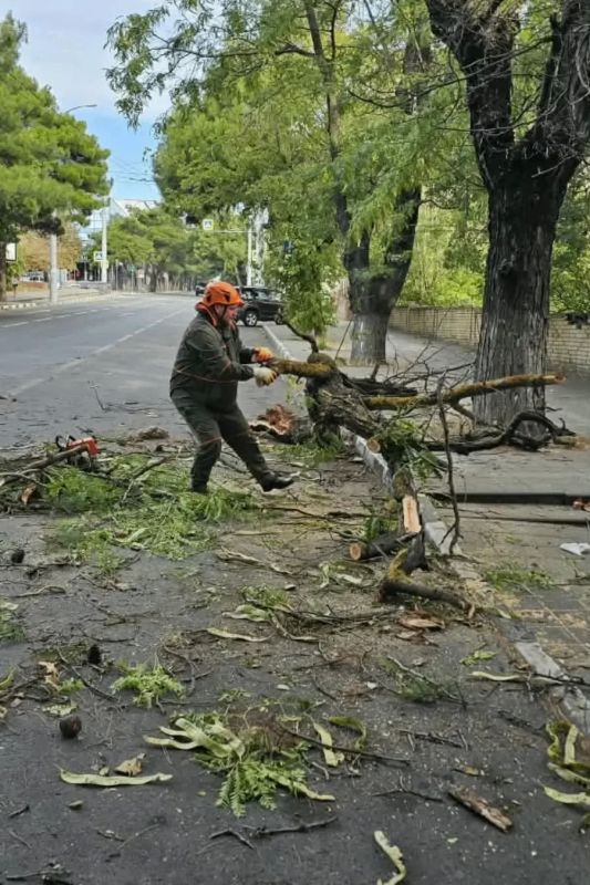 Во власти норд-оста: коммунальные службы и спасатели Новороссийска оперативно устраняют последствия сильного ветра, а жителей и гостей города просят соблюдать меры безопасности Во власти норд-оста: коммунальные службы и спасатели Новороссийска оперативно устраняют последствия сильного ветра, а жителей и гостей города просят соблюдать меры безопасности