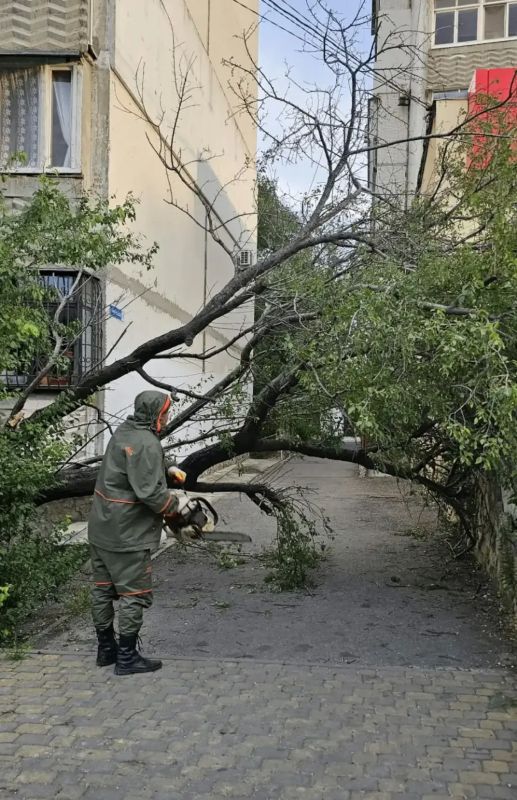 Во власти норд-оста: коммунальные службы и спасатели Новороссийска оперативно устраняют последствия сильного ветра, а жителей и гостей города просят соблюдать меры безопасности Во власти норд-оста: коммунальные службы и спасатели Новороссийска оперативно устраняют последствия сильного ветра, а жителей и гостей города просят соблюдать меры безопасности