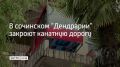 31 августа в парке "Дендрарий" закроют канатную дорогу, сообщили в сообществе парка в ВКонтакте