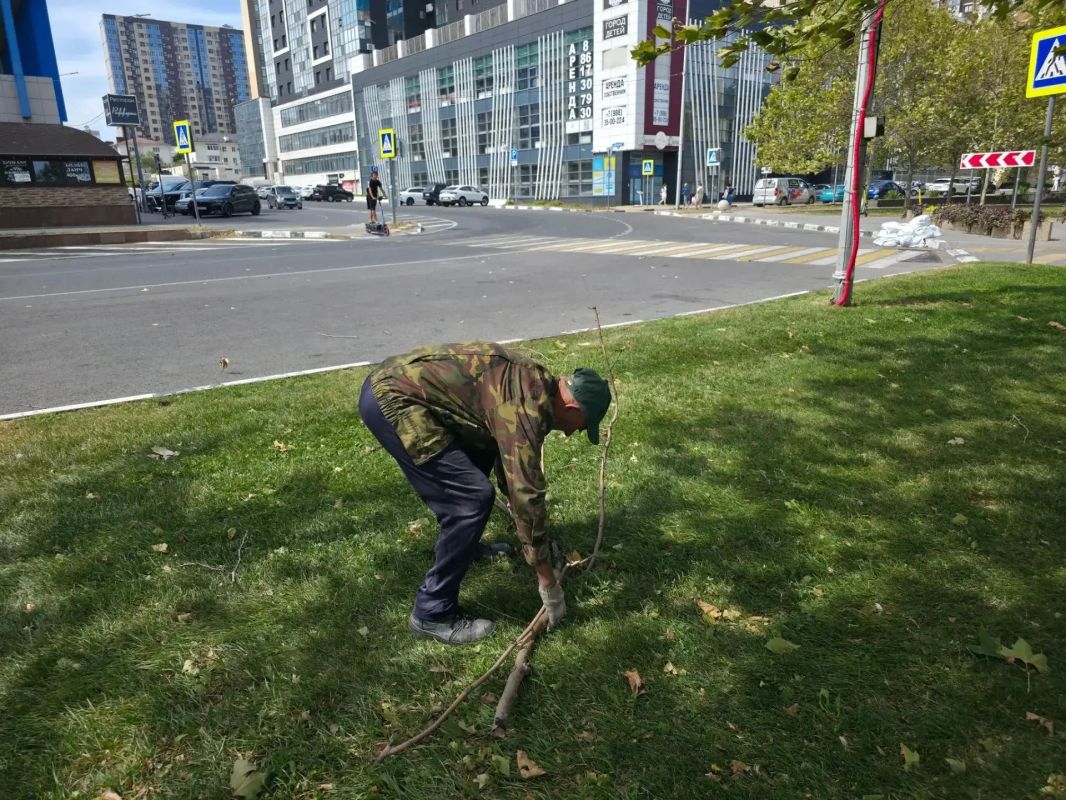 Во власти норд-оста: коммунальные службы и спасатели Новороссийска оперативно устраняют последствия сильного ветра, а жителей и гостей города просят соблюдать меры безопасности Во власти норд-оста: коммунальные службы и спасатели Новороссийска оперативно устраняют последствия сильного ветра, а жителей и гостей города просят соблюдать меры безопасности