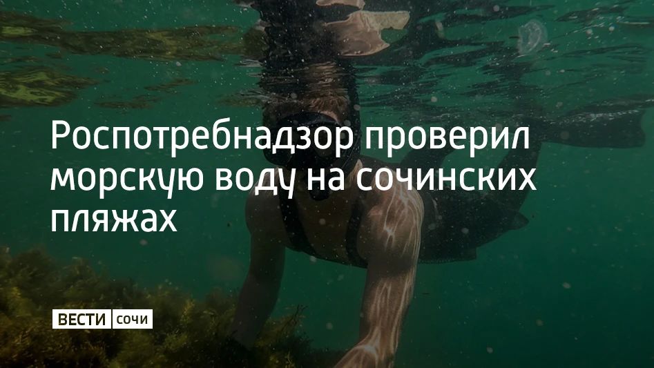 С начала 2026 года Роспотребнадзор проверил 7113 проб морской воды на пляжах Сочи
