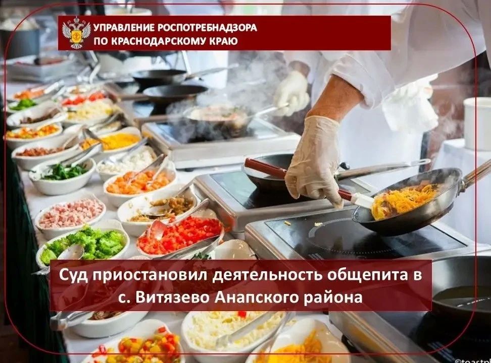 Суд приостановил деятельность общепита в с. Витязево Анапского района