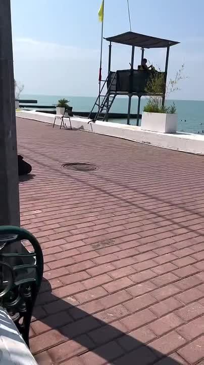 У нас белочка. И не одна