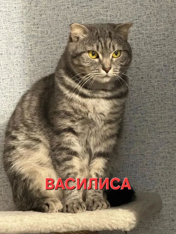 А вот и самые популярные в акции «Красавчик ищет красавчиков»! А вот и самые популярные в акции «Красавчик ищет красавчиков»!