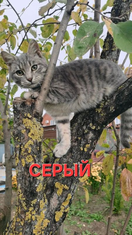А вот и самые популярные в акции «Красавчик ищет красавчиков»! А вот и самые популярные в акции «Красавчик ищет красавчиков»!