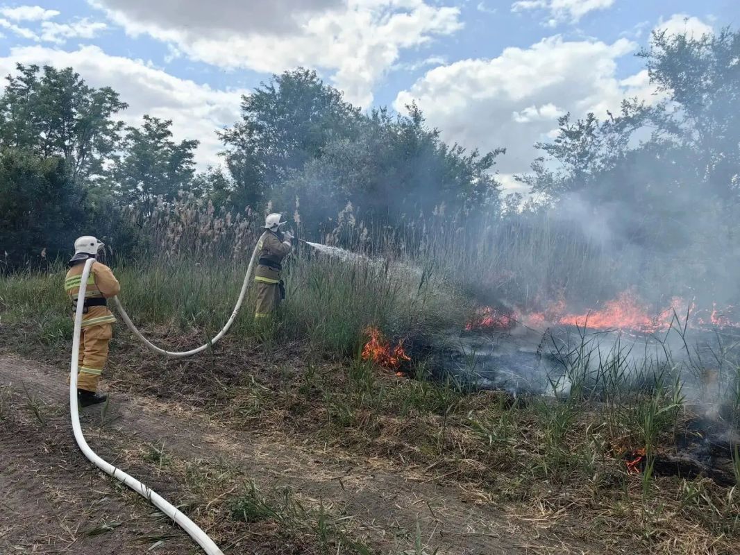 НА КУБАНИ СОХРАНЯЕТСЯ ВЫСОКИЙ КЛАСС ПОЖАРНОЙ ОПАСНОСТИ НА КУБАНИ СОХРАНЯЕТСЯ ВЫСОКИЙ КЛАСС ПОЖАРНОЙ ОПАСНОСТИ