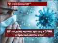 Об эпидситуации по гриппу и ОРВИ в Краснодарском крае