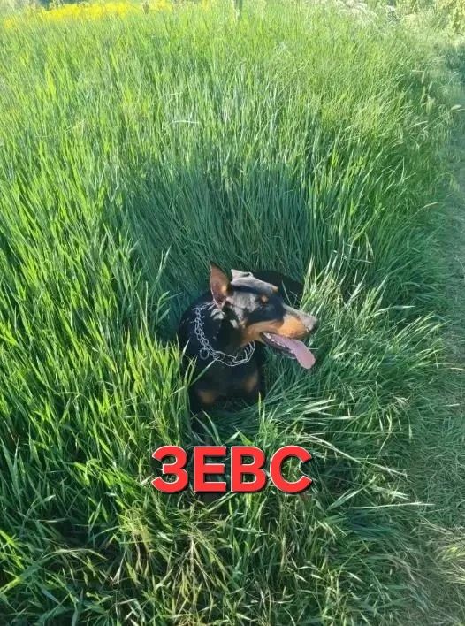 А вот и самые популярные в акции «Красавчик ищет красавчиков»! А вот и самые популярные в акции «Красавчик ищет красавчиков»!