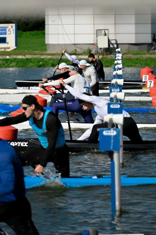 28 спортсменов Краснодарского края выступят на юбилейном «Кубке Доброй Воли» в Москве 28 спортсменов Краснодарского края выступят на юбилейном «Кубке Доброй Воли» в Москве