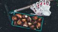 Уникальный способ посадки тюльпанов: забыл о выкапывании на пять лет