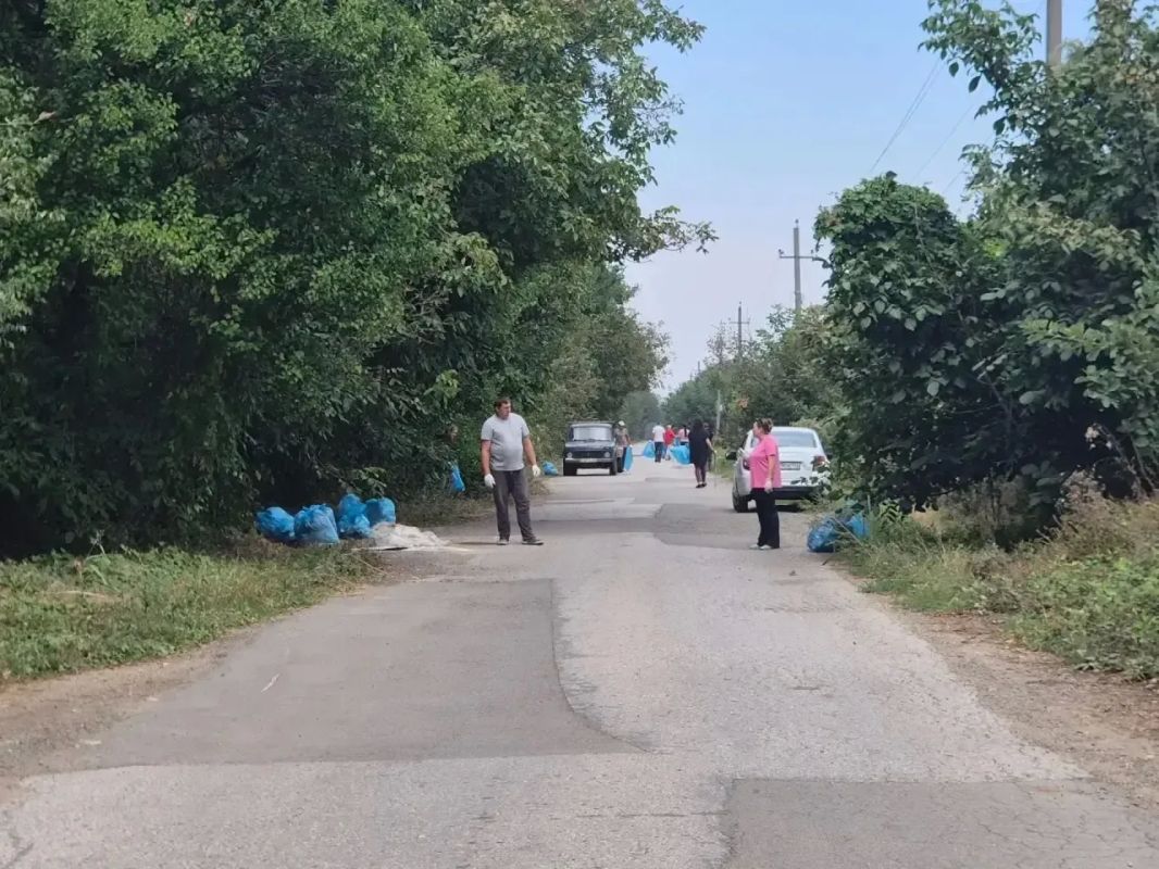 Во всех внутригородских округах Краснодара проходят субботники Во всех внутригородских округах Краснодара проходят субботники