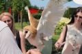 На курортах Кубани активизировались зоофотографы