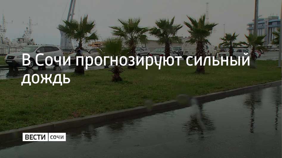 Ночью и утром 7 сентября на побережье Сочи и Сириуса местами ожидаются сильный дождь и ливни с грозами, сообщили в администрации курорта