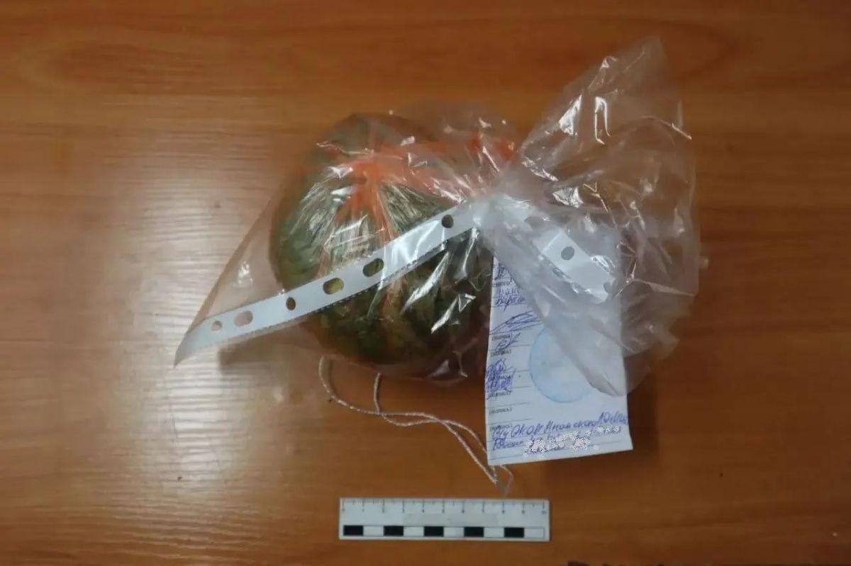 В Анапе транспортные полицейские задержали местного жителя с крупной партией наркотиков