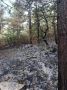 Лесной пожар в районе Голубой Бухты локализован