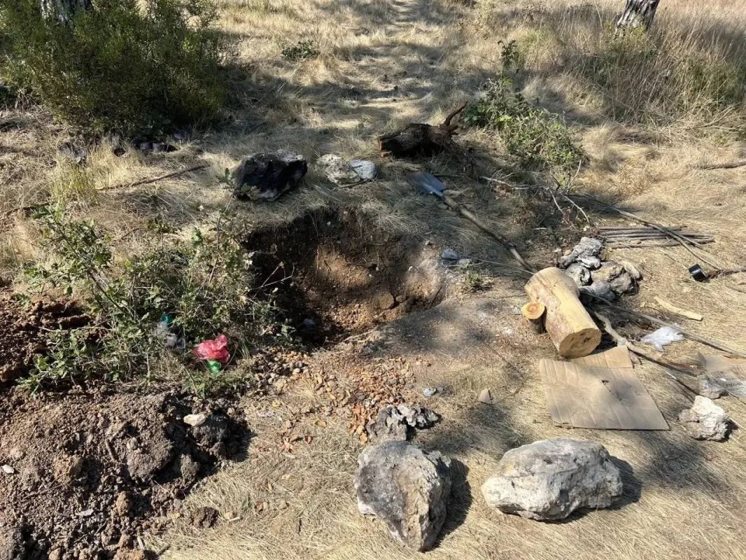 Кровавая расправа в крымском лесу: сочинец зарубил незнакомца топором под Севастополем Кровавая расправа в крымском лесу: сочинец зарубил незнакомца топором под Севастополем