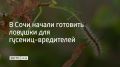 � ���� ����� ��� ���� ����� ������ � ������������ ����� �������� � ���������� �������