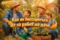 Спокойный огород: как избежать конфликтов на даче