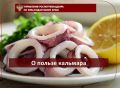 � ������ ��������. ������� ��������� ����� �� ����� �������������, �������� � ��������� �������������