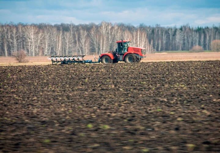 Больше 1000 случаев за год: на Кубани местные производители решили не проверять зерно на пестициды и подали фиктивные документы