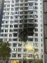 За ночь силами ПВО перехвачены и уничтожены 596 украинских БПЛА самолётного типа над территориями Белгородской, Брянской, Калужской, Курской, Орловской, Оренбургской, Ростовской, Самарской, Тульской, Ульяновской областей...