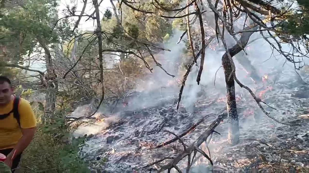 Лесное возгорание в границах Шесхарисского участкового лесничества (район горы Колдун) локализовано в 14:00 на примерной площади 1,7 га