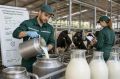 Кубанские аграрии изучили новые подходы к управлению процессами