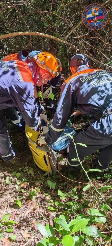 Пенсионера с травмой ноги и обезвоживанием нашли в лесу Пенсионера с травмой ноги и обезвоживанием нашли в лесу