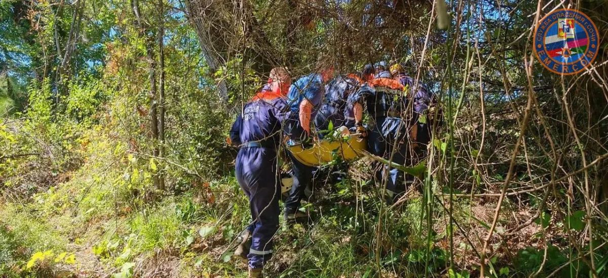 Пенсионера с травмой ноги и обезвоживанием нашли в лесу Пенсионера с травмой ноги и обезвоживанием нашли в лесу