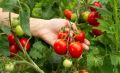 ��� ��������� ����� �� ������� � ������� �����