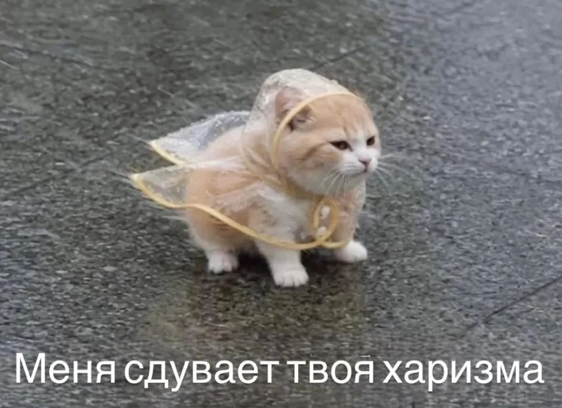 Кубанская красота точно спасёт этот мир Кубанская красота точно спасёт этот мир
