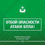 ������� ����������: ������ ����� ����������� ����������� ��������� � ���������� �����
