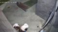 � �������� ���������������� �����, �� ������� ��������� ���������������� ������ ������� � �������� ������ ��������� �� ����� �������������� � ����������