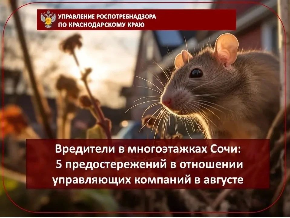 В последнее время участились случаи подачи в территориальный отдел Управления Роспотребнадзора по Краснодарскому краю жалоб от жителей и гостей города Сочи на наличие в многоквартирных жилых домах насекомых и грызунов и на...