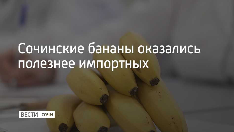 Сочинские бананы оказались полезнее импортных