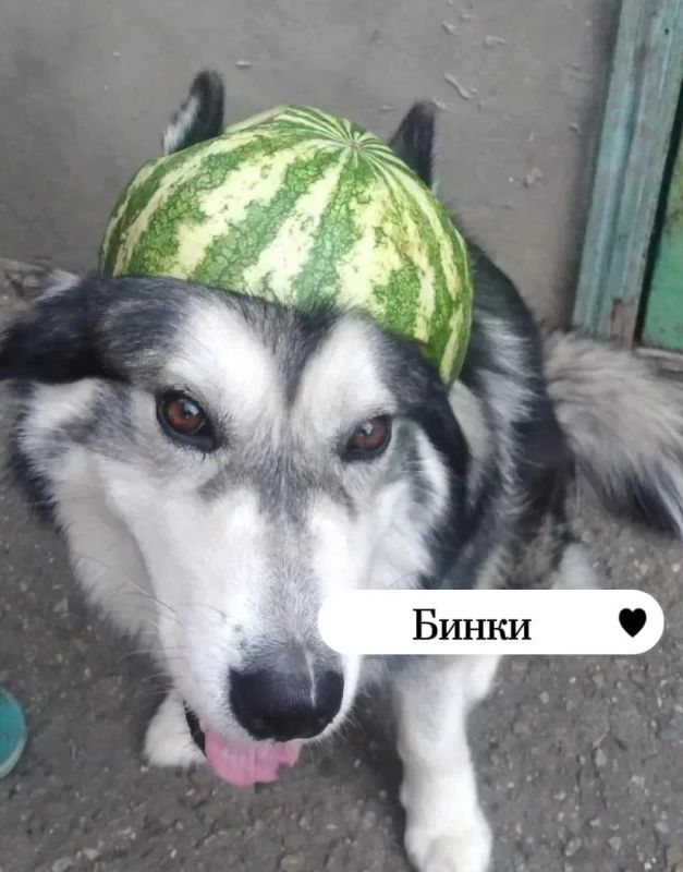 Голосование за главного красавчика второй волны! Голосование за главного красавчика второй волны!