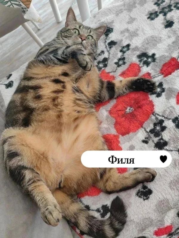 Голосование за главного красавчика второй волны! Голосование за главного красавчика второй волны!