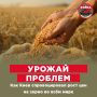 ���������� ������� � ׸���� ���� ���� ����������� ������ � ������������� ������� �������