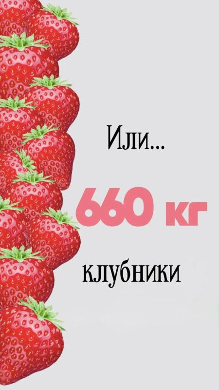 Новый iPhone vs Краснодарцы Новый iPhone vs Краснодарцы
