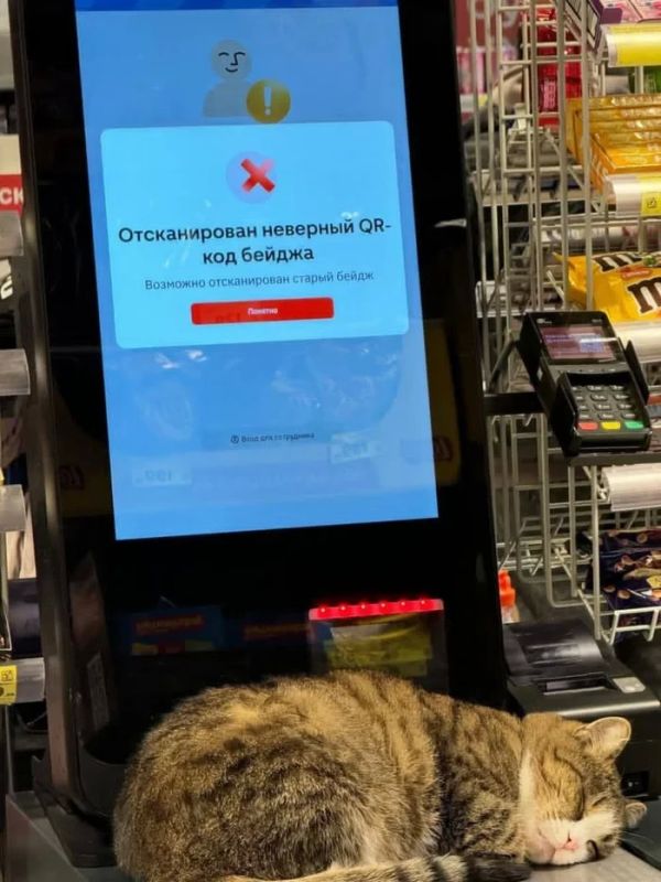 Кассы самообслуживания у россиян впервые стали популярнее обычных