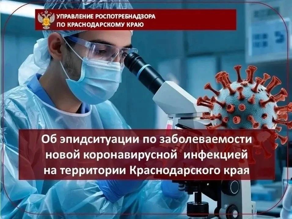 За 37 неделю 2026 года на территории Краснодарского края зарегистрировано 19 случаев заболевания COVID-19, что ниже предыдущей недели