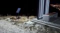 �� ��������� ��������� ���������� ������ ������