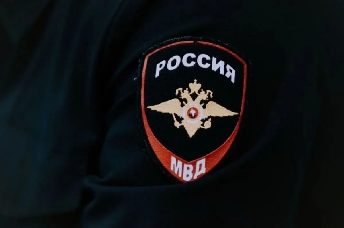 Полиция проверит информацию о стрельбе по домашним животным в Армавире