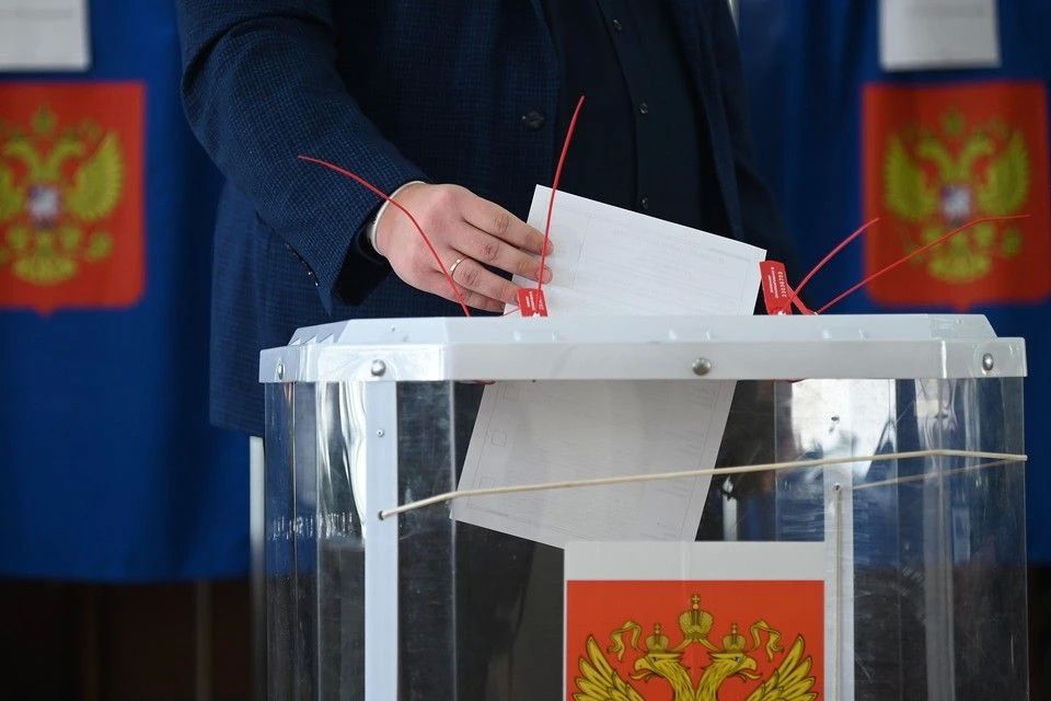 Более четверти избирателей Кубани уже проголосовали