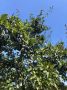 О погоде на 19 сентября. В Краснодарском крае переменная облачность