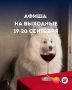 Куда сходить в Сочи на выходных 19–20 сентября?