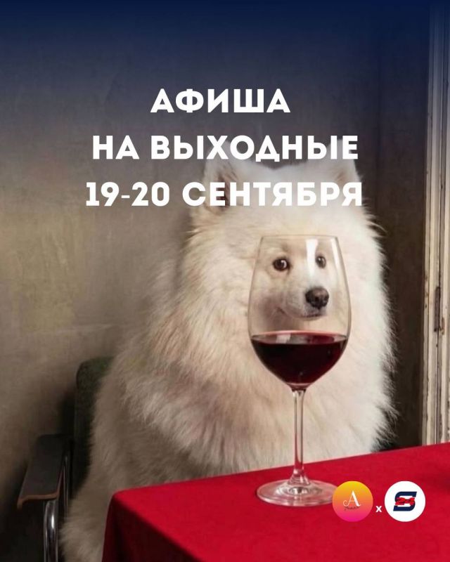Куда сходить в Сочи на выходных 19–20 сентября?